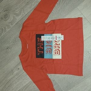 Toddler the big bro long sleeve shirt